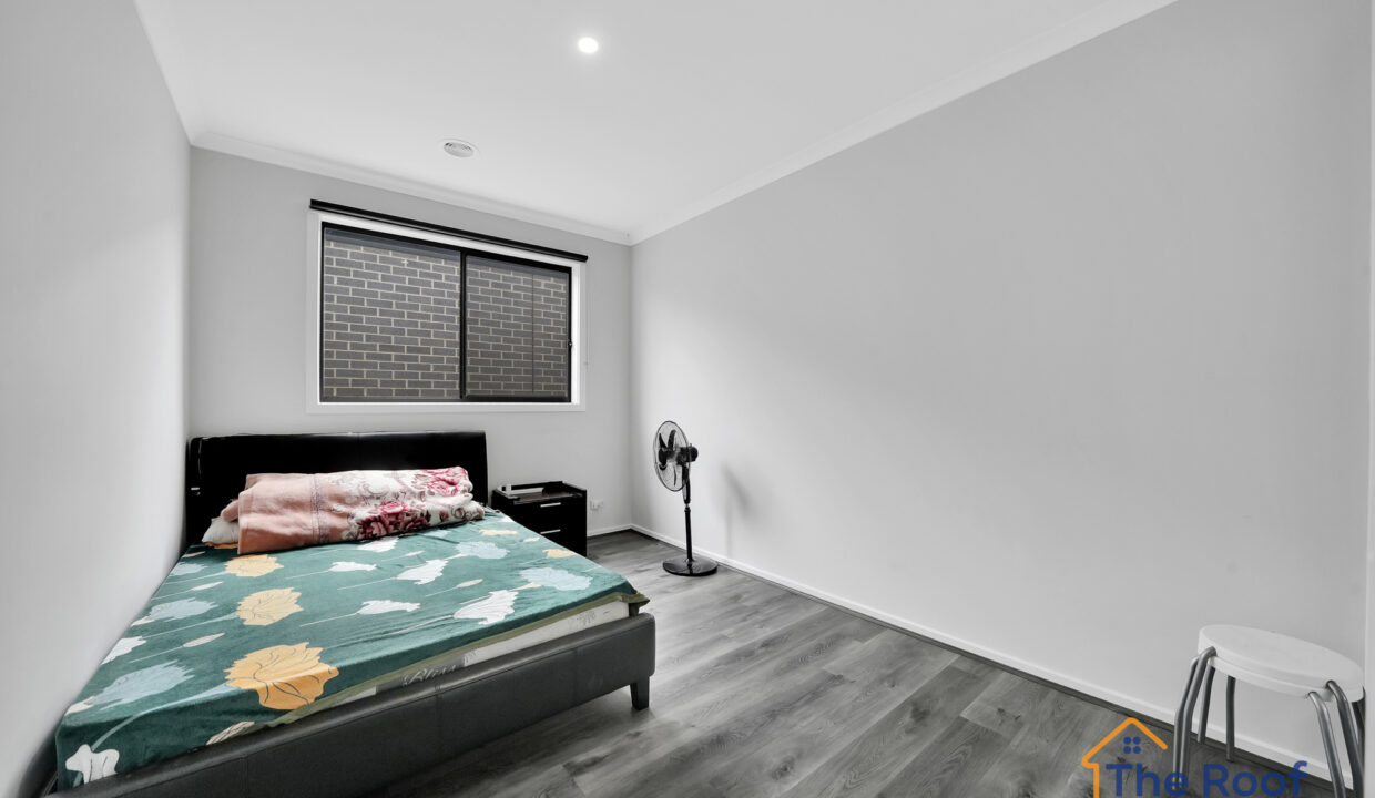 186610539__1770786113-81567-OSMEDIA-5