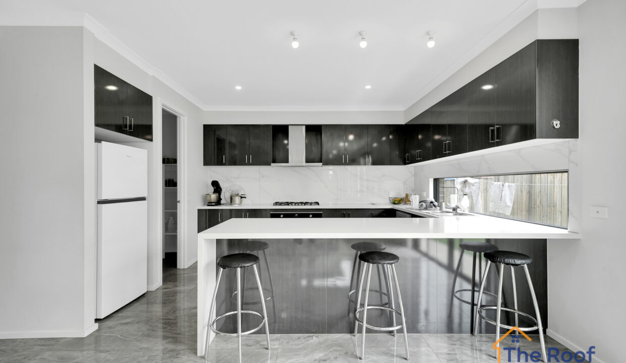 186610545__1770786119-274876-OSMEDIA-9