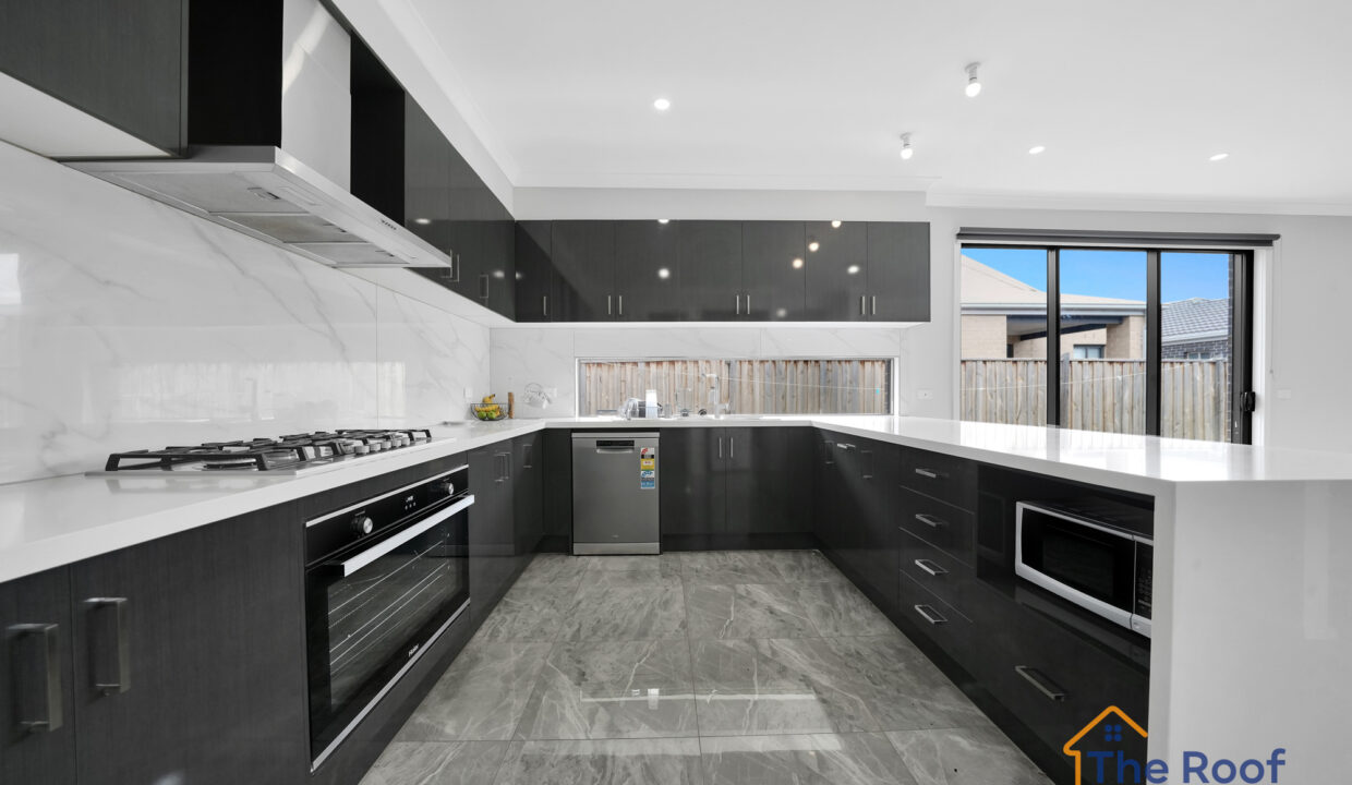 186610552__1770786125-95221-OSMEDIA-13