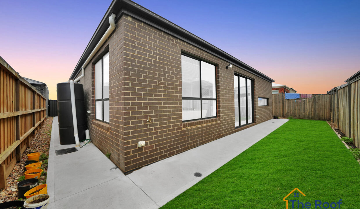 186610559__1770786129-81498-OSMEDIA-14GRASS