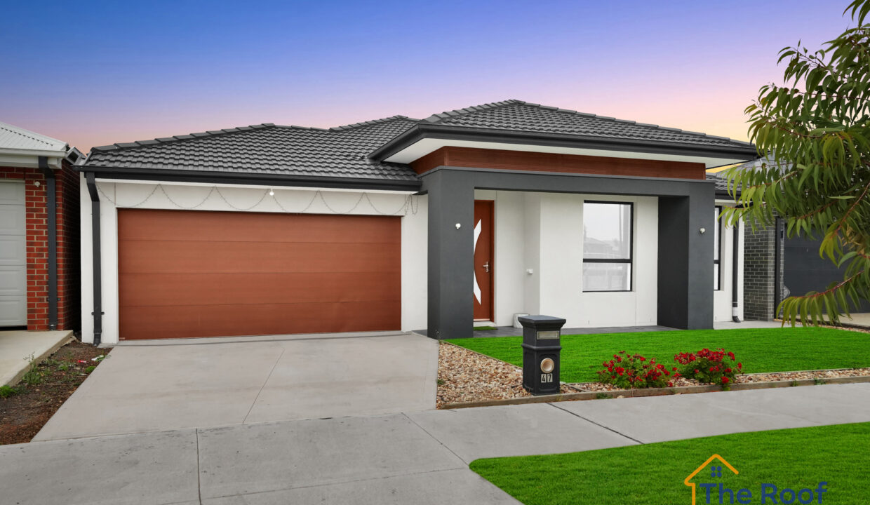 186610574__1770786135-94702-OSMEDIA-16GRASS