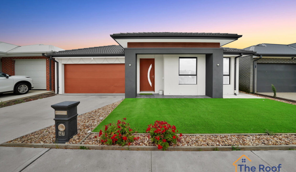 186610578__1770786137-81702-OSMEDIA-17