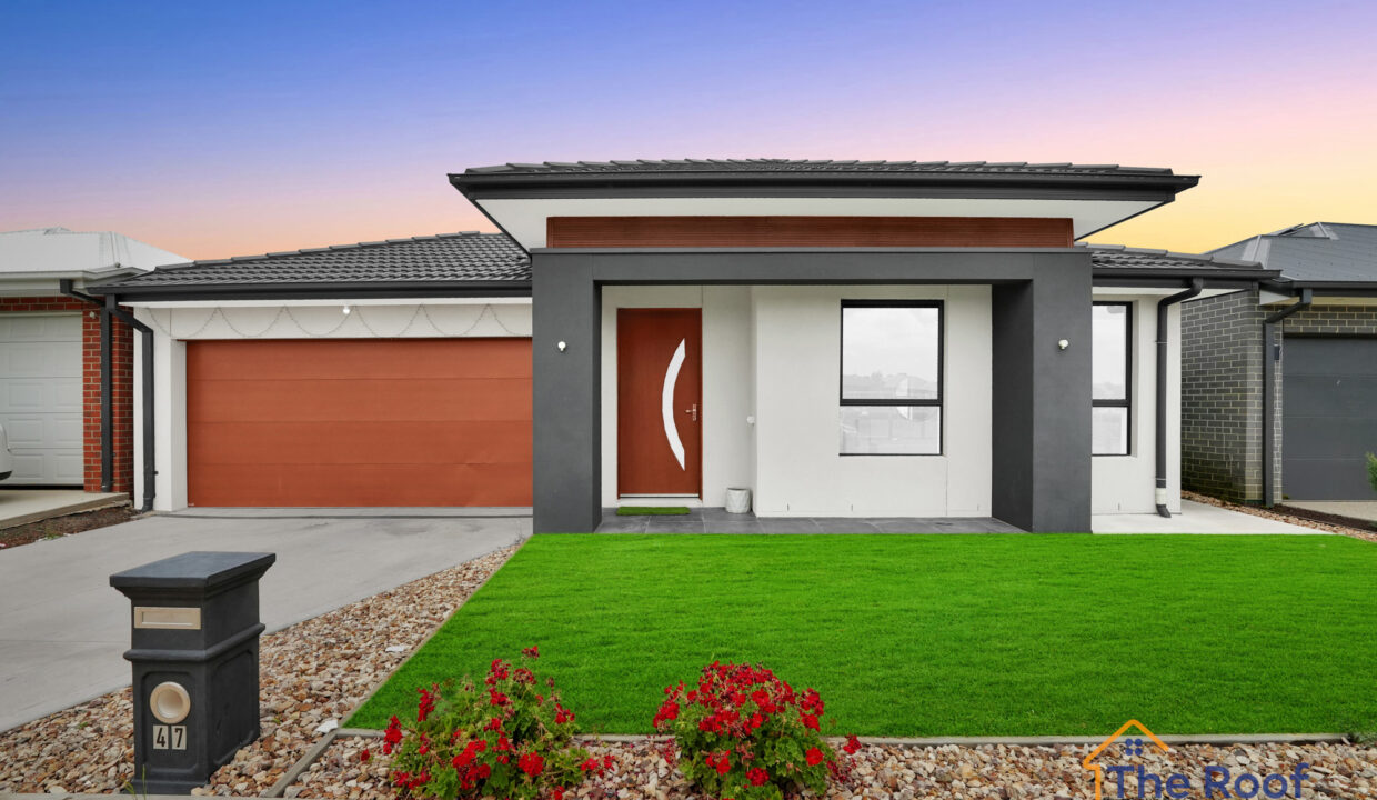 186610581__1770786139-81633-OSMEDIA-17GRASS