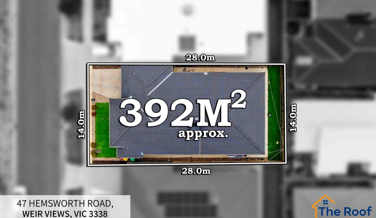 186610585__1770786142-81773-OSmedia2