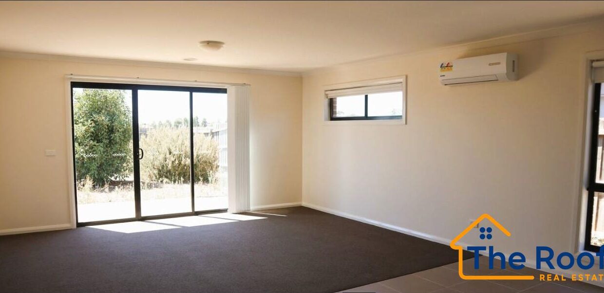 194622956__1774845353-194622956__1774845324-361309-image4