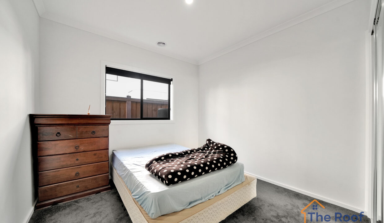 194633017__1774853264-103810-06