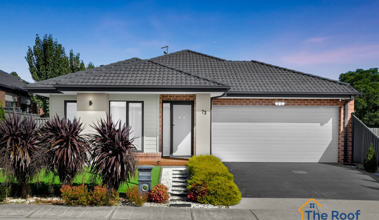 195527094__1775521473-36832-OSMEDIA-15